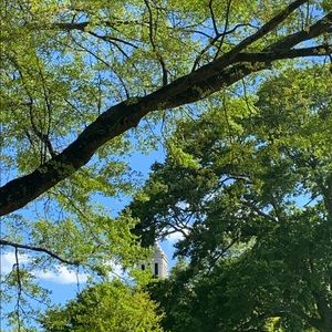 Meet your Posher, Meghan